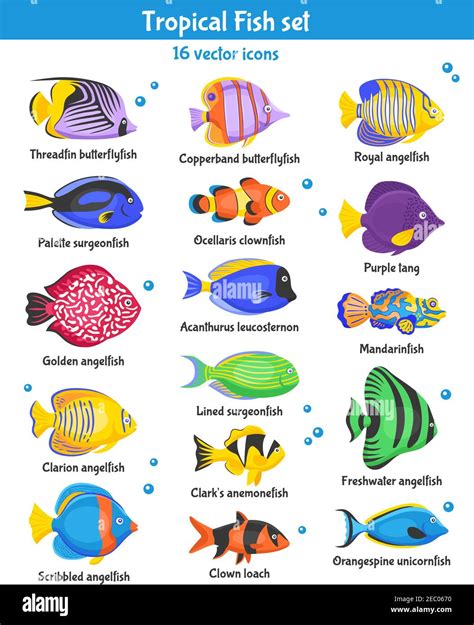 Exotic Fish Names