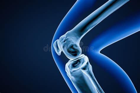 Close-up Profile or Lateral View of the Knee Joint Bones 3D Rendering Illustration. Human ...