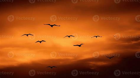 Birds flying at the sunset, Generative AI 30733049 Stock Photo at Vecteezy