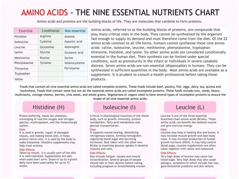 Amino Acids Chart Digital Download PDF - Etsy