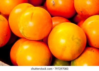 Solanum Quitoense Fruit Fruits Stock Photo 797297083 | Shutterstock