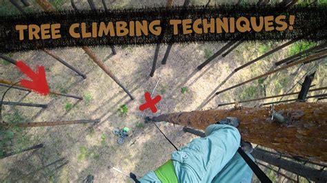 Basic Tree Climbing Techniques, ascent and descent in more details ...