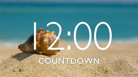 12 Minute Timer with Music and Alarm 🎵⏰ - YouTube