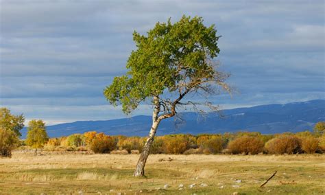 Missoula Montana Tourism Attractions - AllTrips