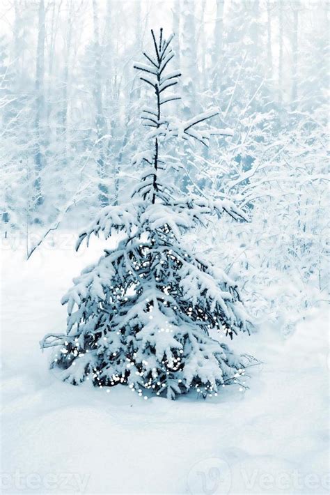 Winter landscape. Snow covered trees 10025768 Stock Photo at Vecteezy