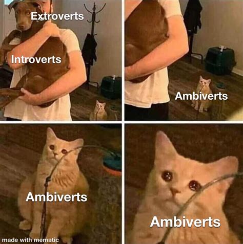 Rise Up My Fellow Ambiverts : r/memes