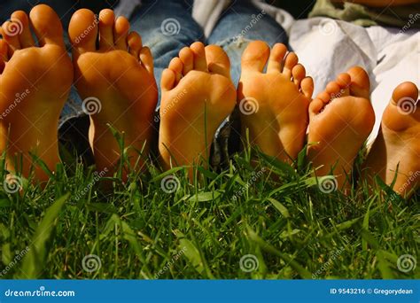 Growing feet stock photo. Image of beautiful, fine, kids - 9543216