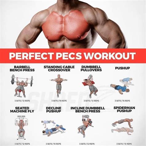 Pin by Bob Belding on Sport and Exercise | Chest workout, Barbell workout, Workout