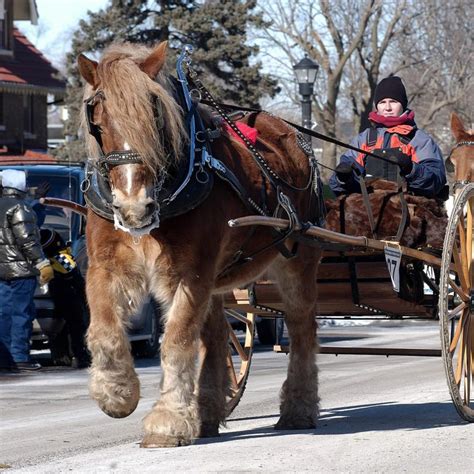 Find Frosty Fun at These Minnesota Winter Festivals | Explore Minnesota