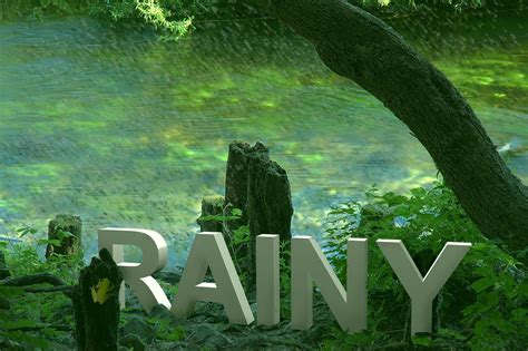 Free Rainy Season Stock Photo - FreeImages.com