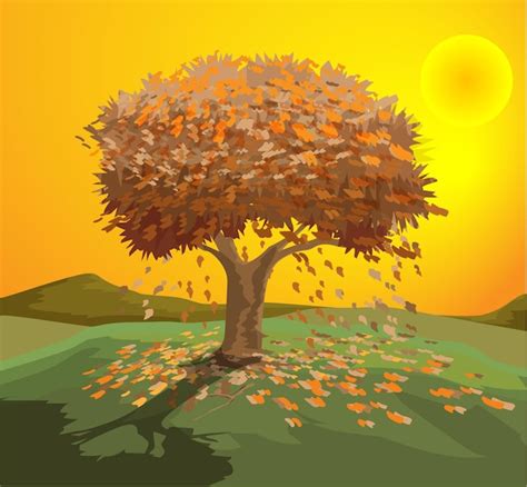 Premium Vector | A deciduous tree at sunset in autumn