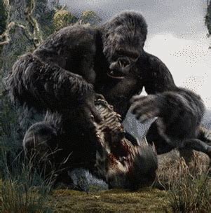 King Kong GIF - Find & Share on GIPHY