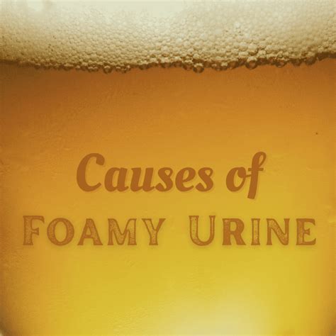 Foamy Urine Causes: How Much Foam in Urine Is Normal? - HubPages