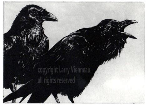 Raven artwork Raven crow Black Bird Mythology Etching | Etsy