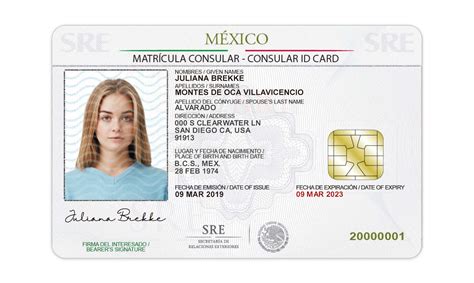 Mexican Id Card Template