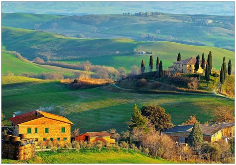 Party Resources: Under the Tuscan Sun