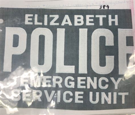 ELIZABETH POLICE EMERGENCY SERVICE UNIT PANEL LARGE #389