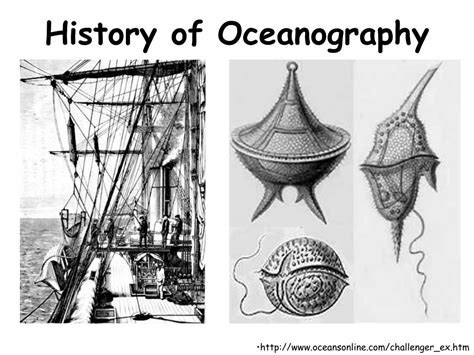 PPT - History of Oceanography PowerPoint Presentation, free download - ID:462325