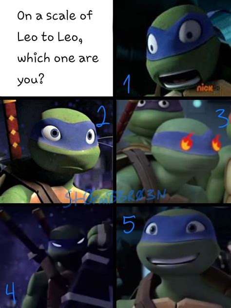 Leo meme | TMNT HQ Amino