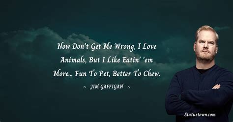 10+ Best Jim Gaffigan Quotes