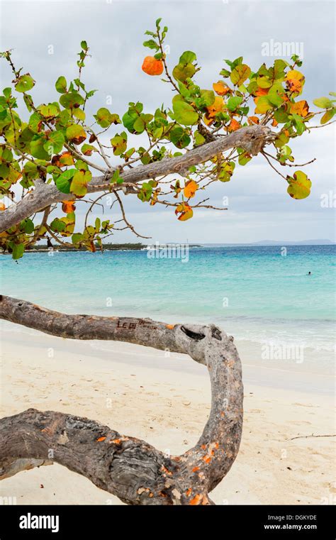 Cuba Holguin beach Stock Photo - Alamy