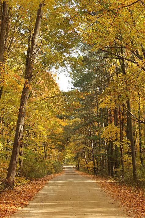 Fall in Grand Mere State Park Photograph by BJ Karp