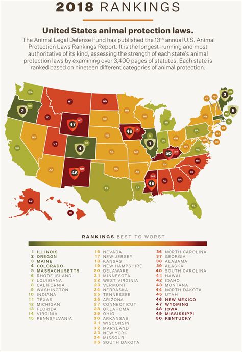 Is Dog Fighting Legal In Montana