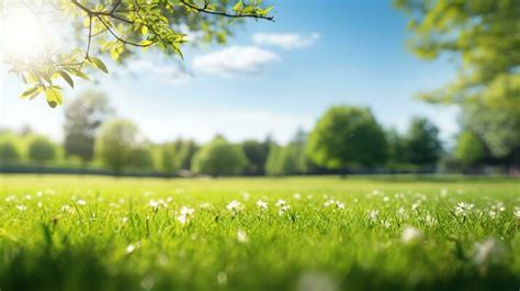 Spring Nature Background Stock Photos, Images and Backgrounds for Free ...