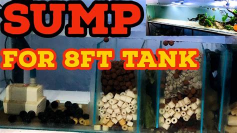 How To Make Sump Filter For Aquarium | Easy Guide On Aquarium Sump Filtration | DIY Sump Filter ...