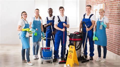 Blogs | Safe Cleaning & Pest Control