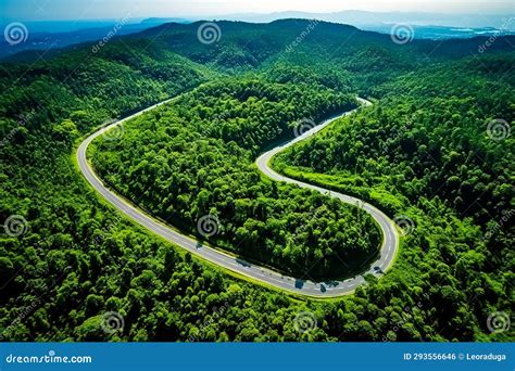 Aerial View of Curve Road on Green Forest Stock Illustration ...