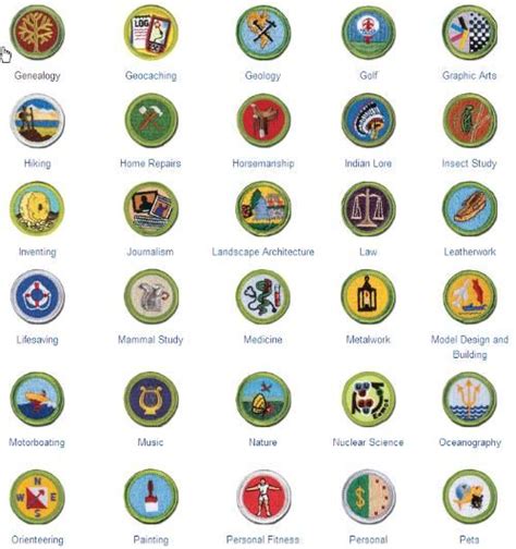 Public MERIT BADGE LIST - Boy Scout Troop 142 (Bardstown, Kentucky ...