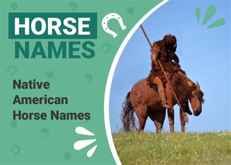 100+ Native American Horse Names: Ideas for Strong & Dignified Horses | Pet Keen