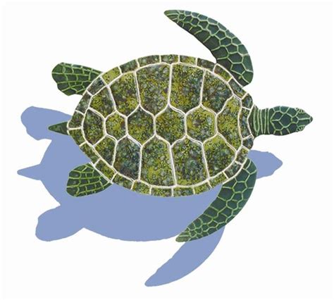 Ceramic Shadowed Green Sea Turtle Small Mosaic | Sea turtle watercolor, Turtle quilt, Turtle ...