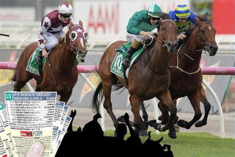 Thursday's horse racing results & cards - Wolverhampton | The Scottish Sun