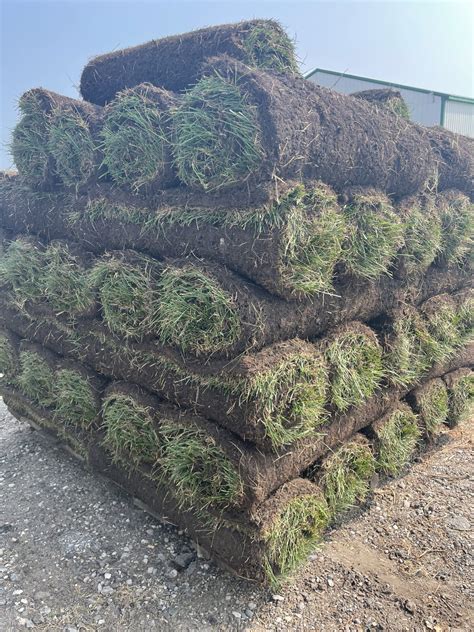 Order Sod Online: Pallet of Fine Fescue - DeBucks Sod Farm MI.