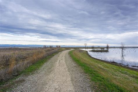 What Is a Levee? - WorldAtlas