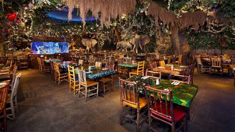 Rainforest Café Disney Springs | Walt Disney World Resort