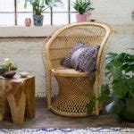 Carlie Rattan Chair - TheBestWoodFurniture.com