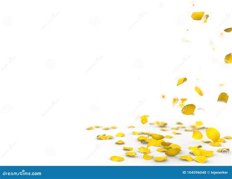 Yellow Rose Petals Fall To the Floor Stock Photo - Image of love, falling: 104596048