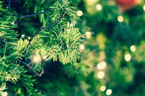 christmas lights hanging in a tree 11828419 Stock Photo at Vecteezy