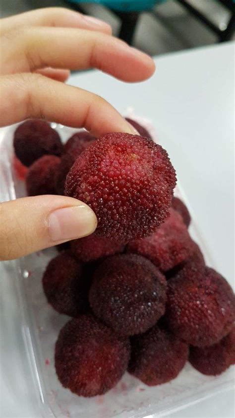 China Wonder Fruit: Waxberry | Vegan Amino