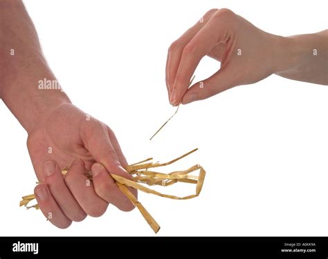 Picking the Short Straw Stock Photo - Alamy