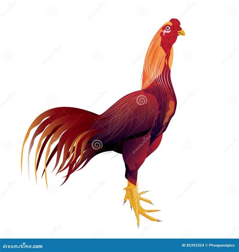 Rooster gamecock stock vector. Illustration of animal - 85393324