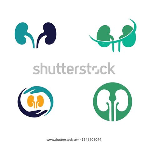 Kidney Logo Design Inspiration Eps 10 Stock Vector (Royalty Free) 1546903094