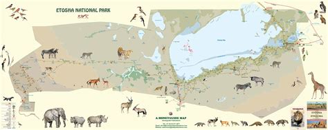 Pelagický Matematický kouř etosha national park map autorita Politika investice