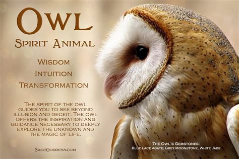 Native American Owl Symbol Meaning