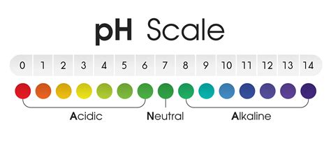 The PH Scale: Unveiling The Acidity And Alkalinity Of Everyday Items - Household Essentials on ...