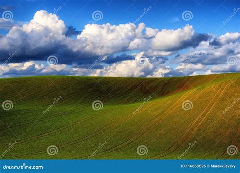 Detail of South Moravian Field, Czech Republic. Stock Photo - Image of ...