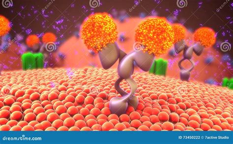 Cell membrane receptors stock photo. Image of cell, ions - 73450222